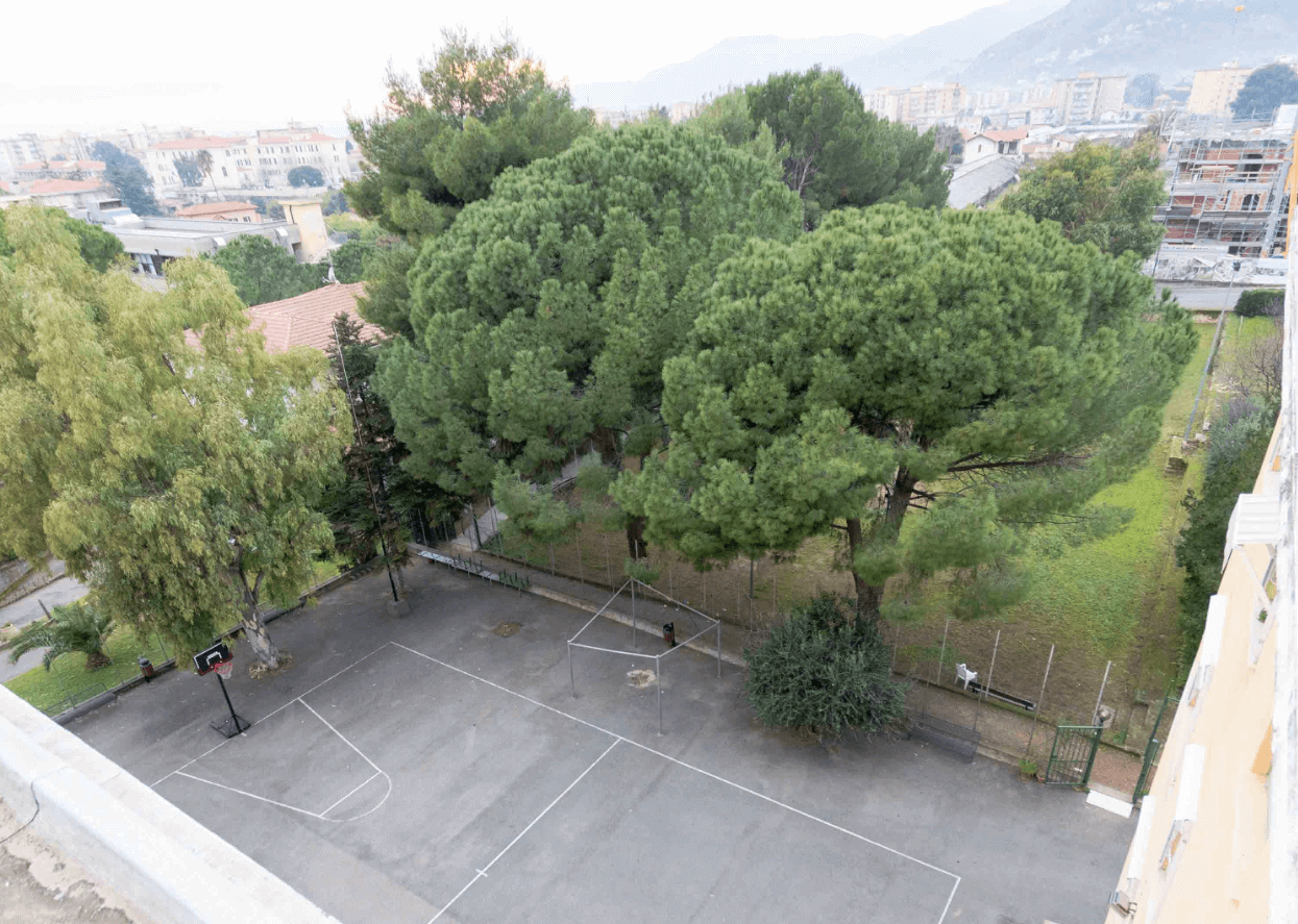 Campo da basket in asfalto